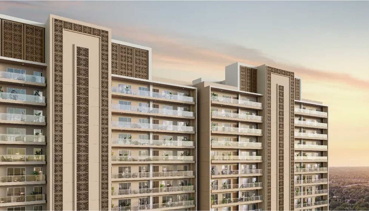 WhatsApp-Image-2025-06-24-at-11.21.27-AM